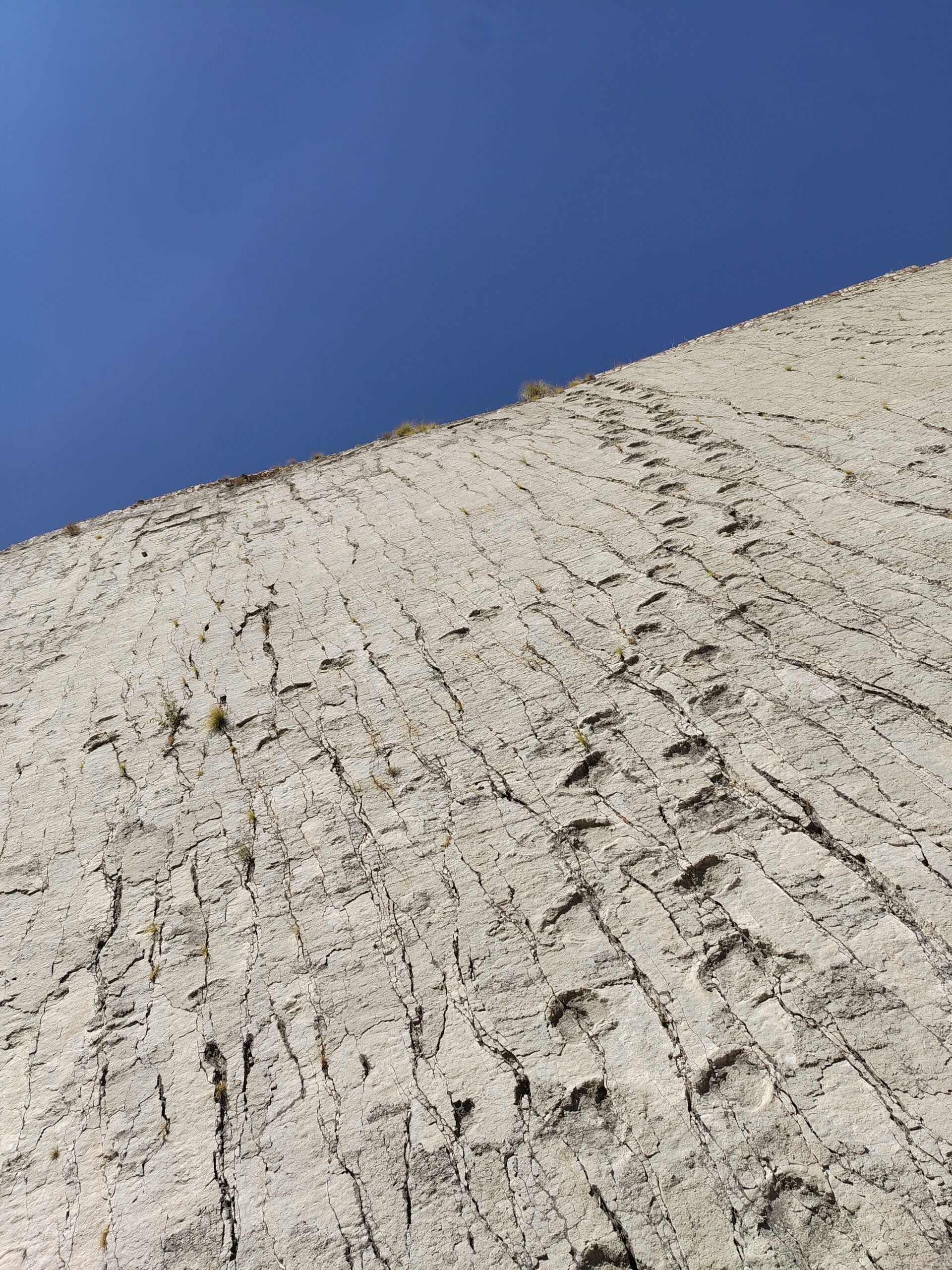 Huellas de dinosaurios que suben por la superficie rocosa