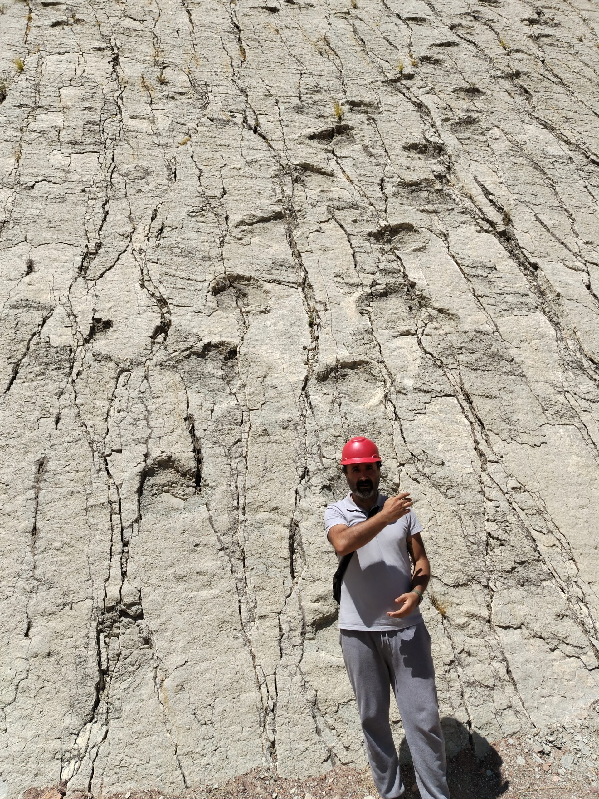 Posando frente a las huellas de dinosaurios