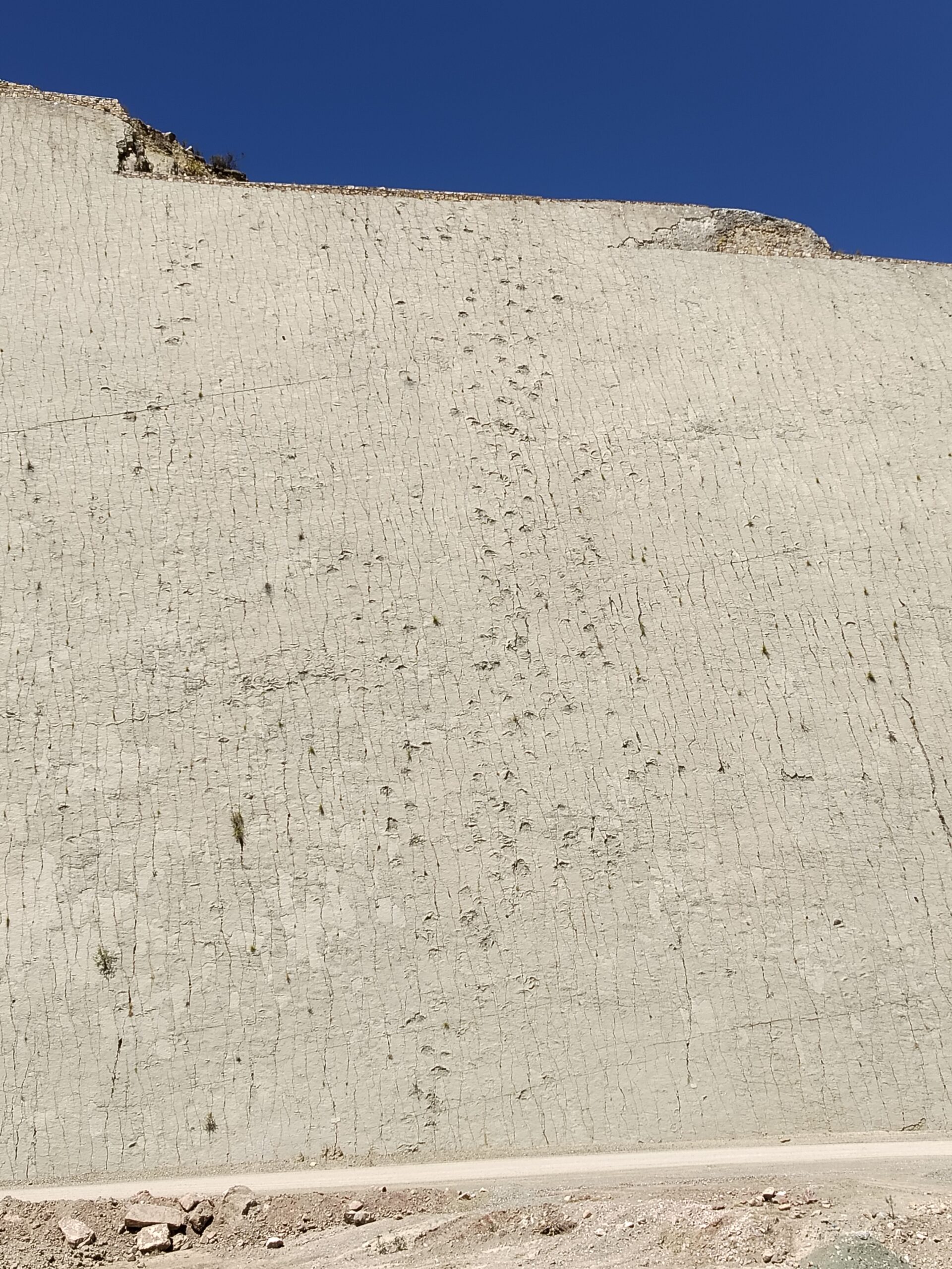 Vista general del enorme muro de huellas de dinosaurios en Cal Orck’o