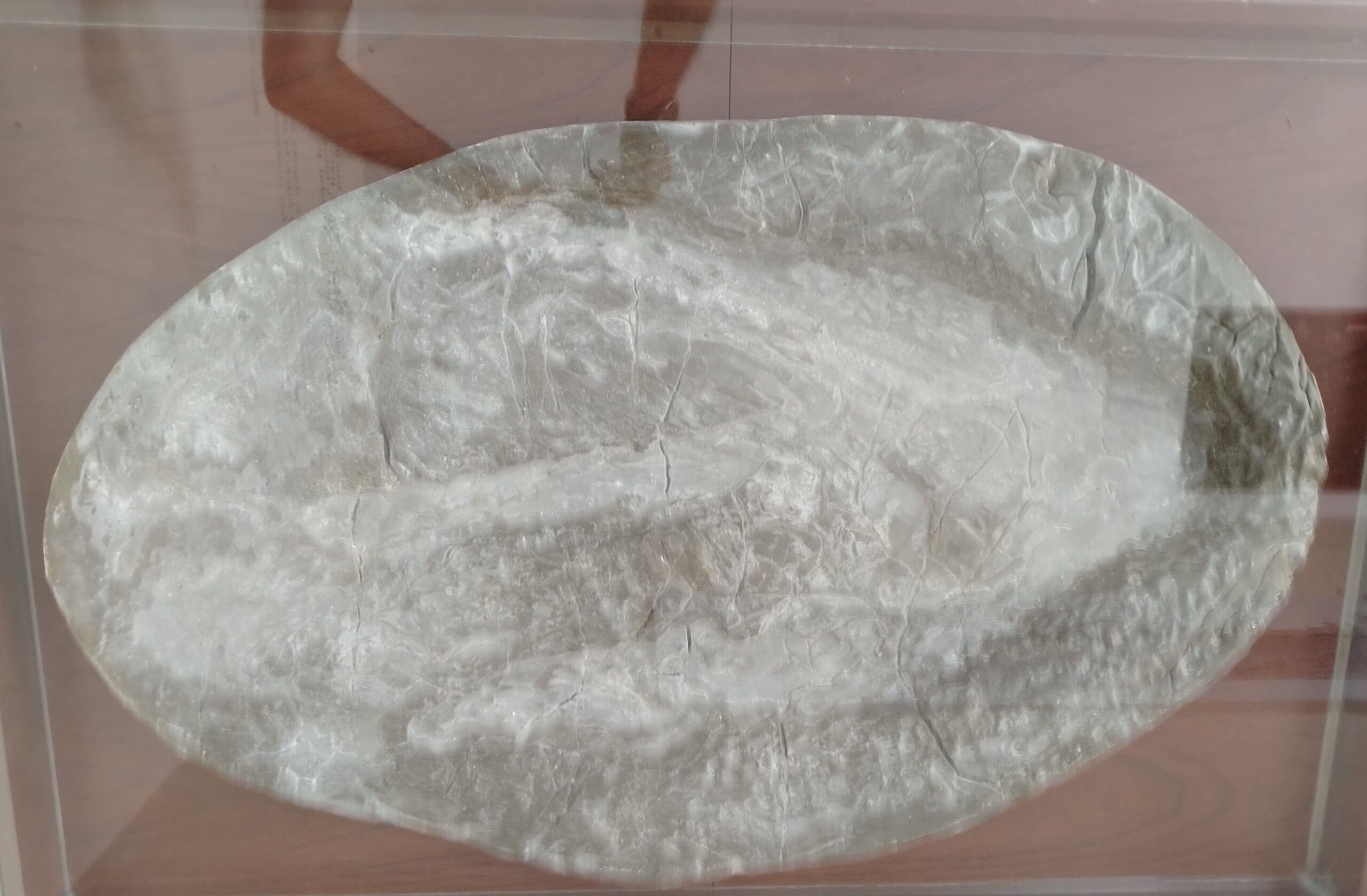 Huella fósil de dinosaurio expuesta en el museo