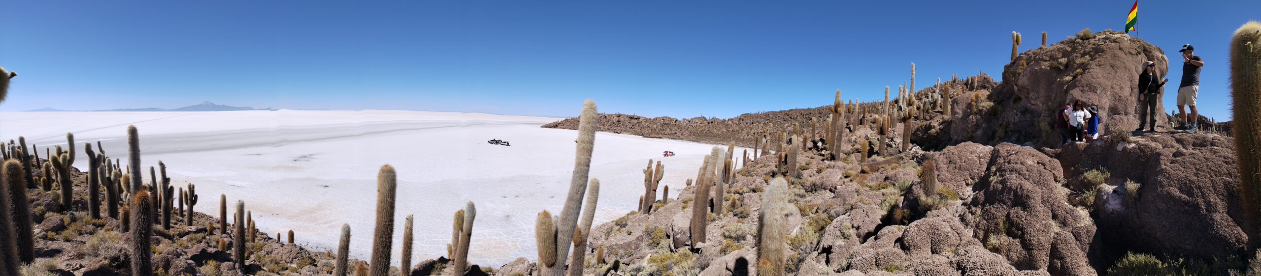 Cactus gigantes sobre las rocas de la Isla Incahuasi con el inmenso Salar de Uyuni al fondo