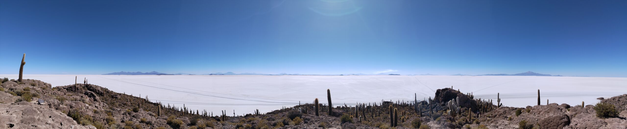 El mar blanco de sal del Salar de Uyuni visto desde la Isla Incahuasi, rodeado de cactus