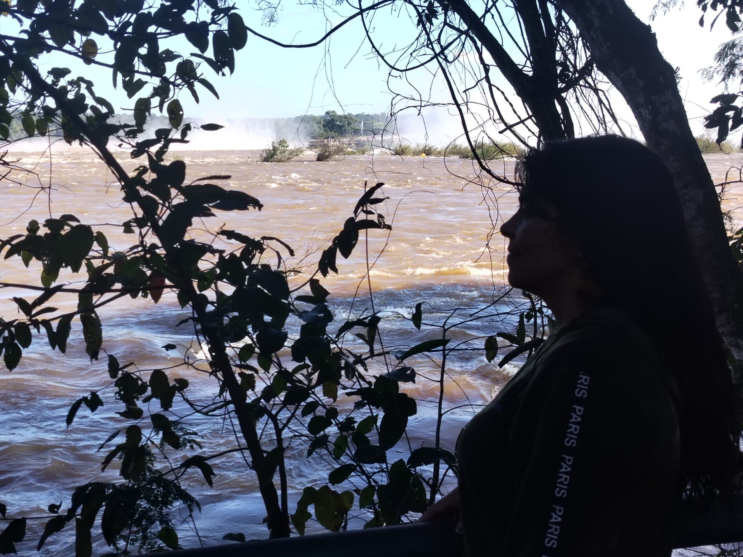 Vista cercana de las Cataratas del Iguazú